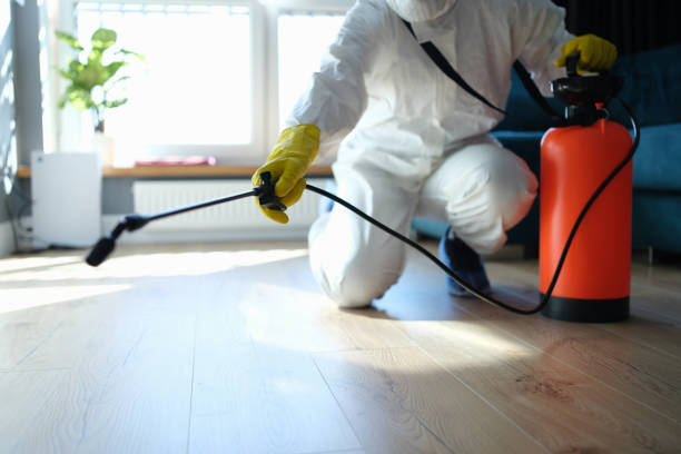 Reliable Biohazard Cleanup contractor in Ducor, CA by Trauma Clean Pros